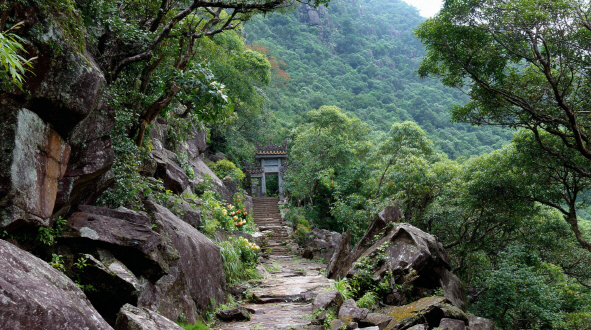 Peach Blossom Star in Saju: What It Means for Love